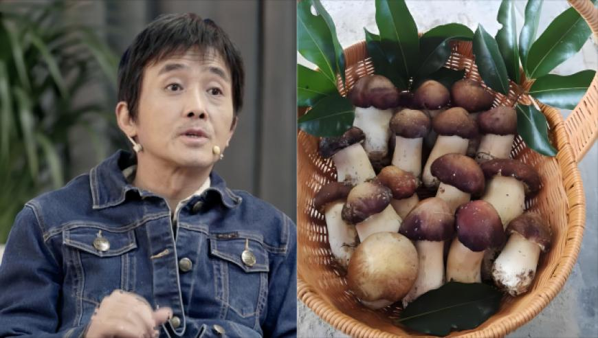 赵丽颖真的很喜欢哪吒,家野中特,决策资料解释落实_钻石版V13.2