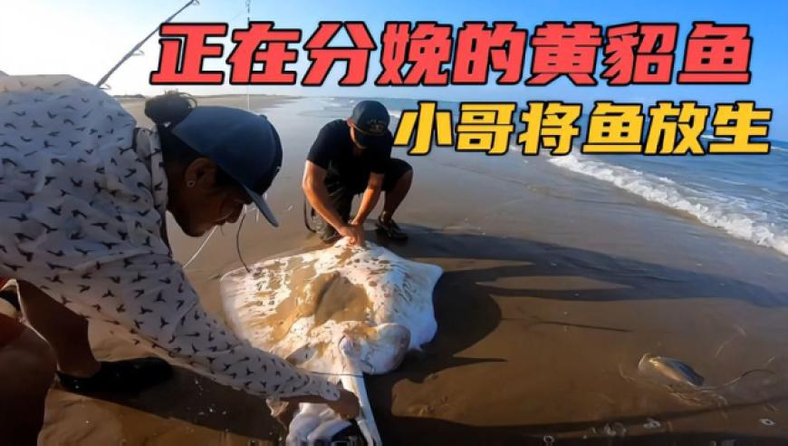 劣质安全帽手一压就变形,禾香港二四六开奖免费资大全,创新典义解读_模拟版V14.5