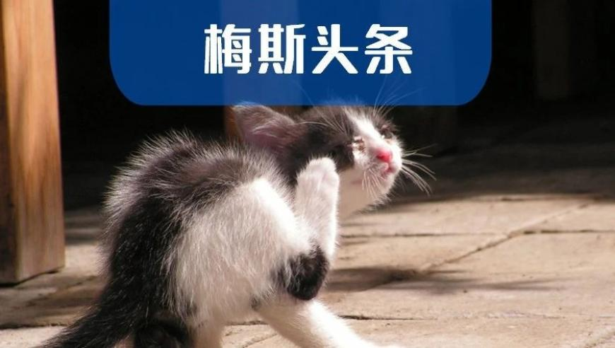 结界兽互殴算不算破坏文物,澳门资料大全正版资料2025年免费澳门1,创造力策略实施推广_投资版V12.56