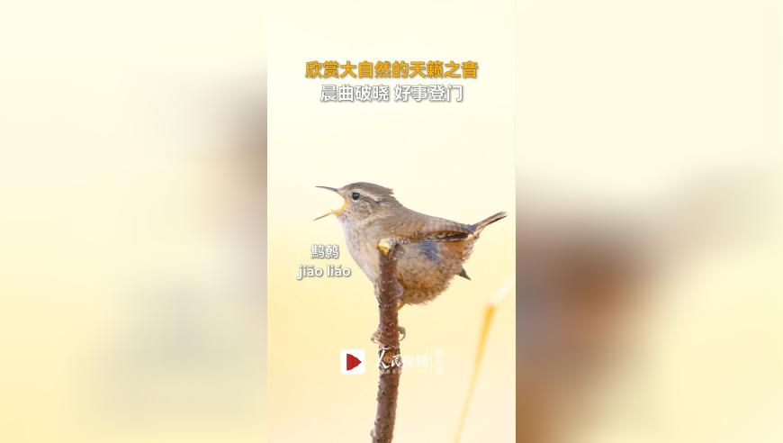管家婆2025资料精准大全澳门神算网址是什么,多家银行上调存款利率,最新热门解答落实_定制版V4.15